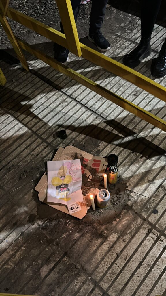 Pusieron una estatua de Gaturro y fue destruida en 48 horas 8 F1MNluMXoAAsmKB - 7