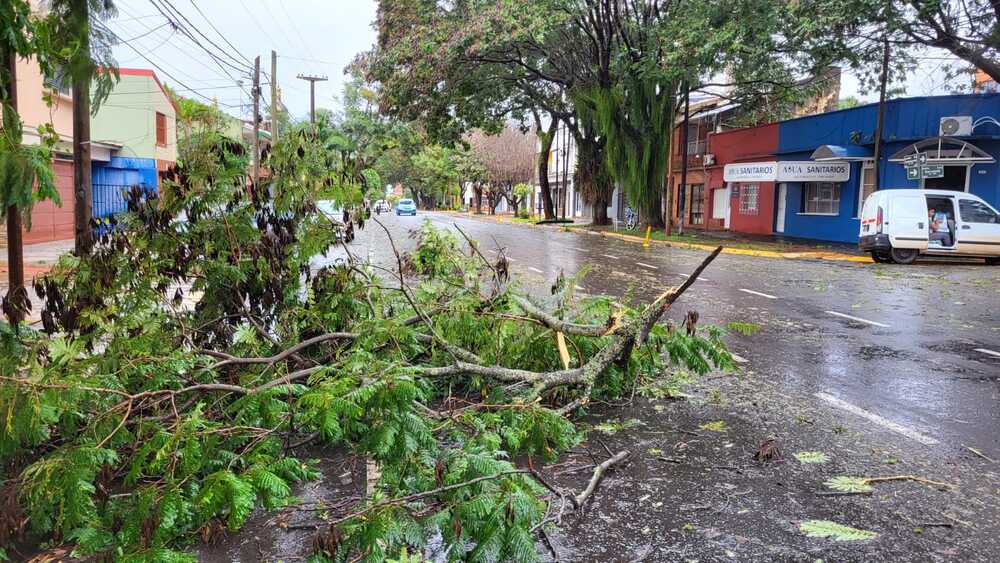 Lluvia y vientos fuertes sorprendieron a los posadeños en los primeros momentos de la siesta 16 WhatsApp Image 2023 07 12 at 2.31.15 PM 1 2 - 15