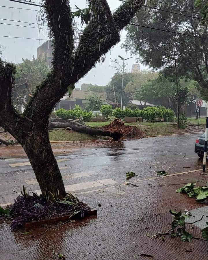 Lluvia y vientos fuertes sorprendieron a los posadeños en los primeros momentos de la siesta 8 WhatsApp Image 2023 07 12 at 2.51.28 PM 1 - 7