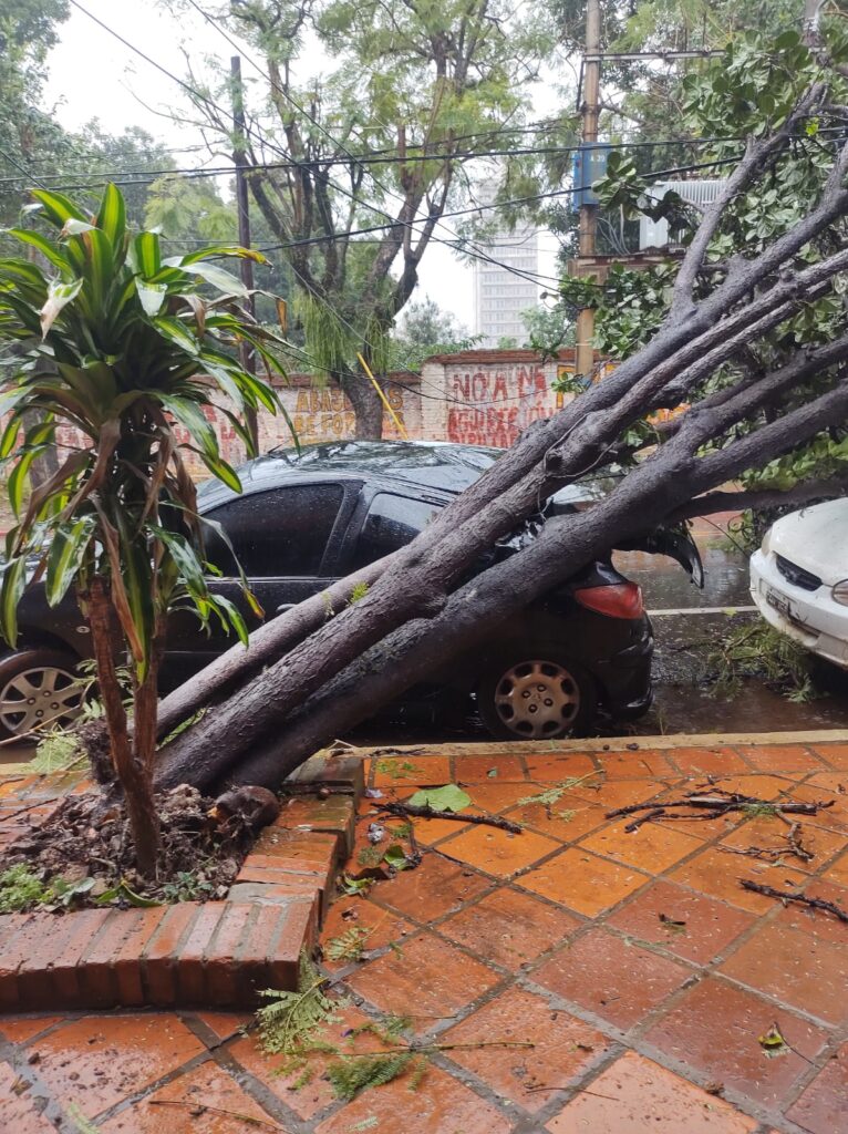 Lluvia y vientos fuertes sorprendieron a los posadeños en los primeros momentos de la siesta 6 WhatsApp Image 2023 07 12 at 2.51.29 PM - 5