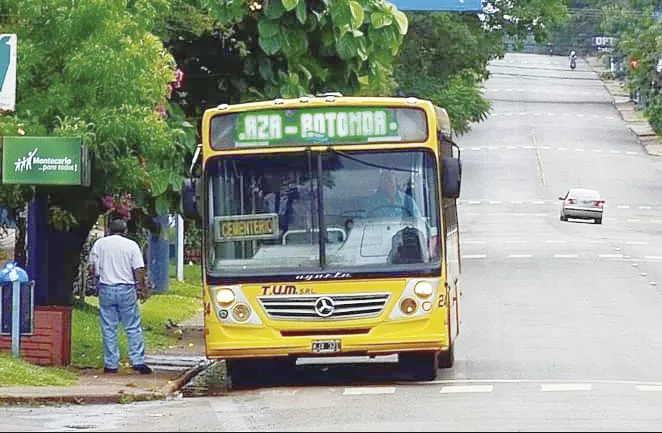 colectivos montecarlo