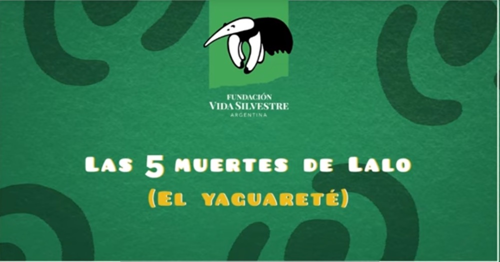yaguarete - 10