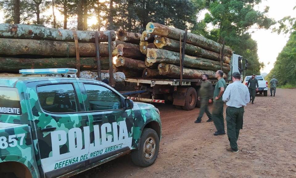 guias forestales misiones 2 control del Ministerio de Ecologia sobre madereros - 3