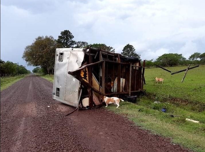 La población de Virasoro, Corrientes, intenta reparar los serios daños provocados por una cola de tornado 3 Virasoro 2 - 2
