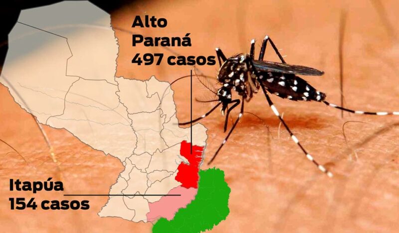 Dengue en Paraguay - 7