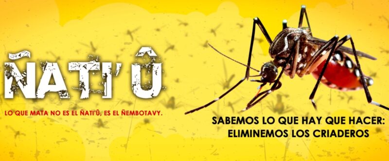 Paraguay | Firman compromiso multisectorial para minimizar el impacto del dengue 5 mosquito 1 - 4
