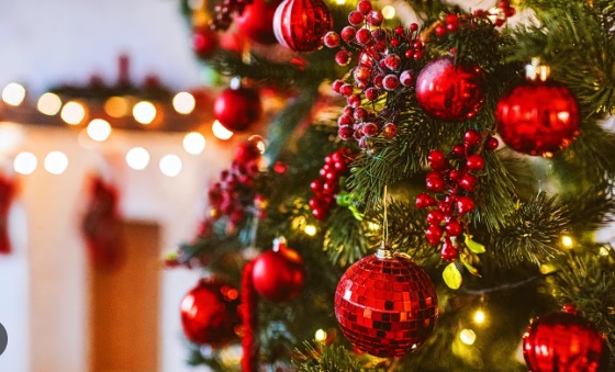 arbol - 1