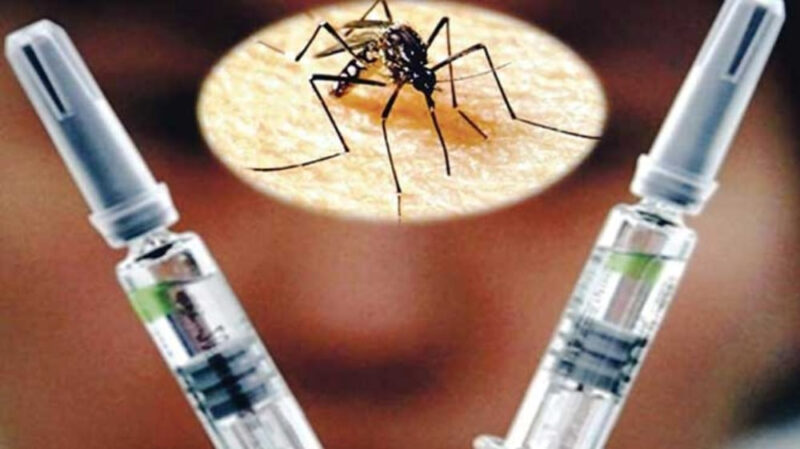 El costo de la vacuna contra el dengue en Misiones alcanza los $81,000 por dosis 13290 - 4