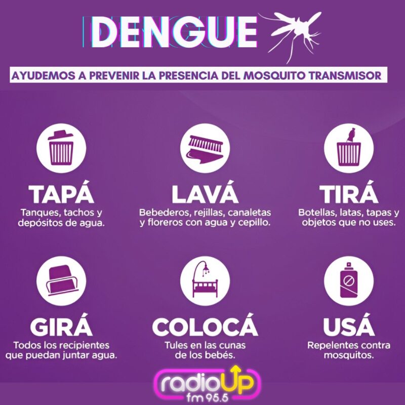 Escasez de repelentes en Misiones ante el alarmante aumento de casos de dengue 5 DENGUE - 4