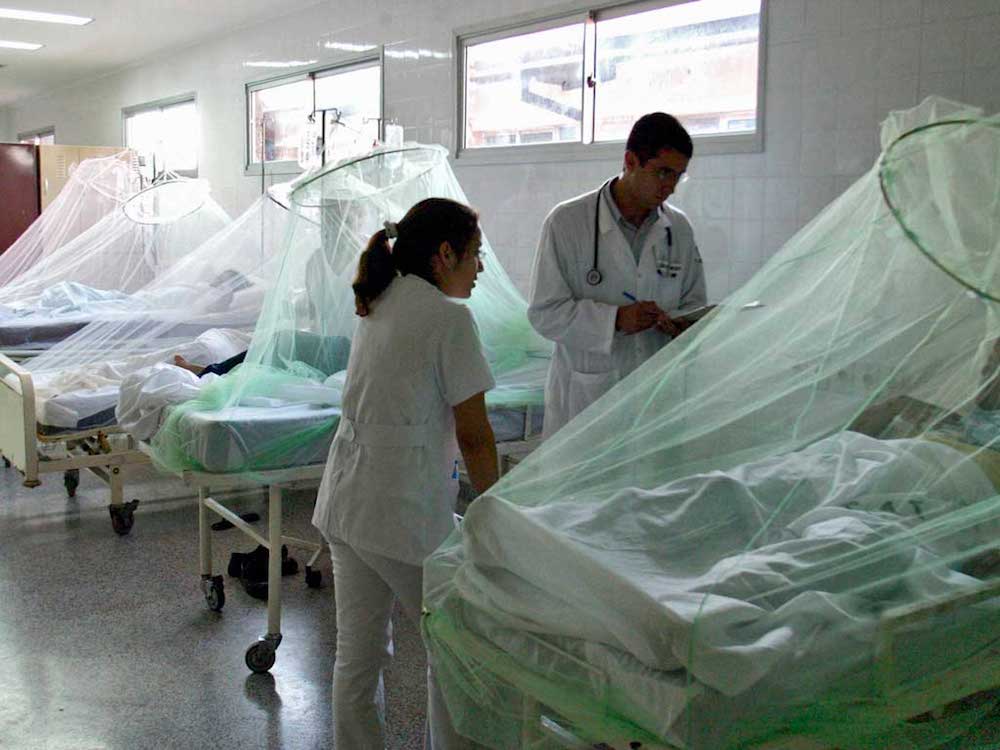 Ya son 27 las personas internadas por dengue y reportaron un hospitalizado por Chikungunya en Misiones Dengue 1 - 1