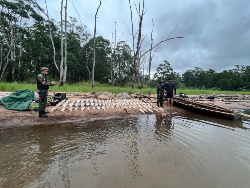 Operativo “Pasión de Sábalo” | Secuestraron 300 kilos de pescados en Corrientes IMG 20240113 WA0113 - 10
