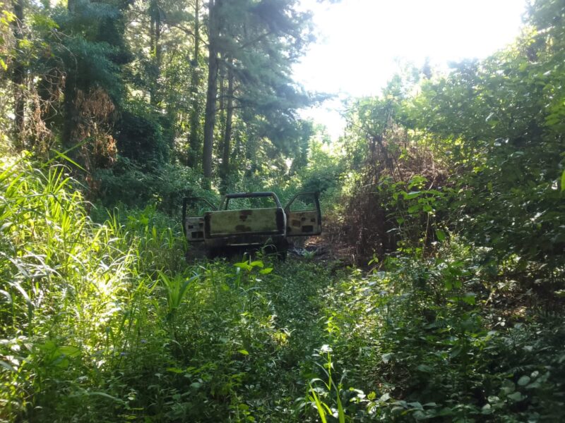 IMG 20240124 WA0130 - 10