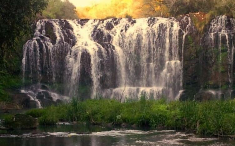 Salto Alegre | Una cascada oculta de 20 metros de caída en Misiones Salto Alegre 1 - 6
