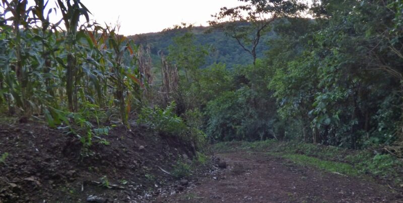 Vacaciones | El Salto Orquídea en Dos de Mayo, un lugar para disfrutar de la naturaleza 11 Salto Orquideas - 10