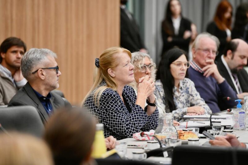 Stolbizer advirtió que la Ley Ómnibus no está en el temario de extraordinarias y no se puede tratar Stolbizer en el plenario de comisiones que debate la ley omnibus - 6