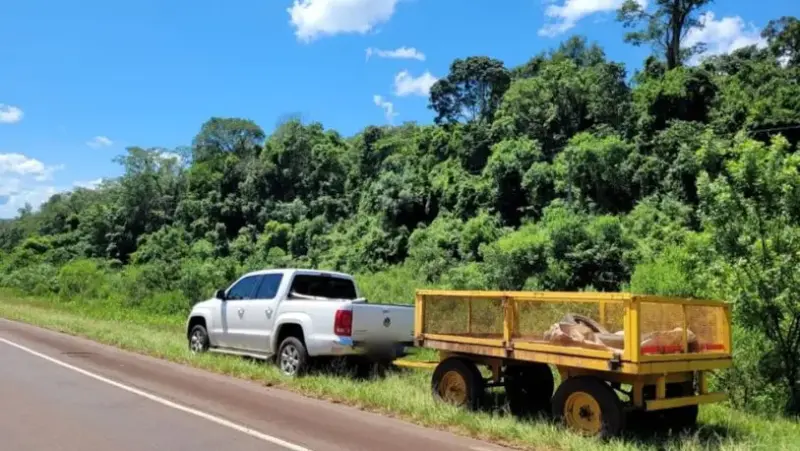 San Martín | Una mujer y su hijo heridos tras ser embestidos por un tráiler Una mujer y su hijo heridos al ser embestidos por un trailer 1 813x458 1 - 2
