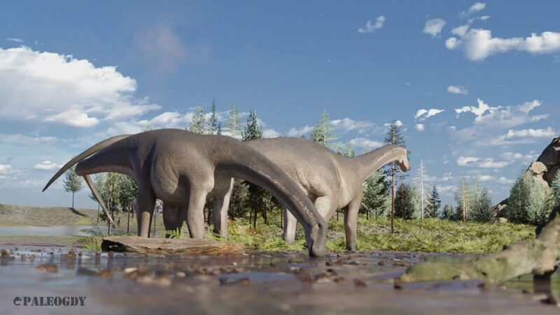 El CONICET anunció el hallazgo de un nuevo dinosaurio herbívoro argentino en Neuquén W4JOll5NOKoyFcS0 - 6