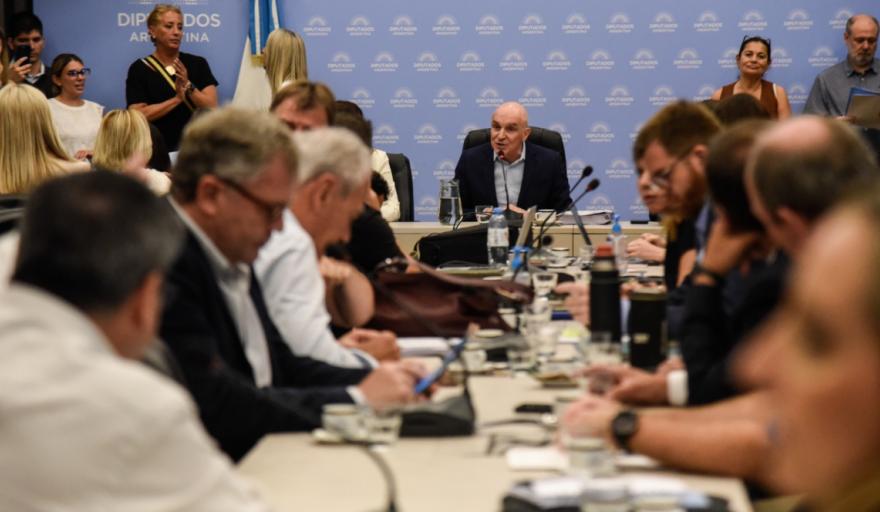 comisiones que trataran la ley omnibus de milei - 11