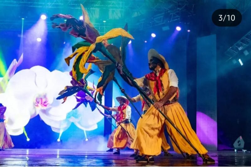 Corrientes | Finalizó la trigésima tercera edición de la Fiesta Nacional del Chamamé 11 ctes15 - 10