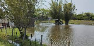 Corrientes | El gobierno provincial declaró la Emergencia Hídrica en todo el territorio provincial 5 ctes2 1 - 4