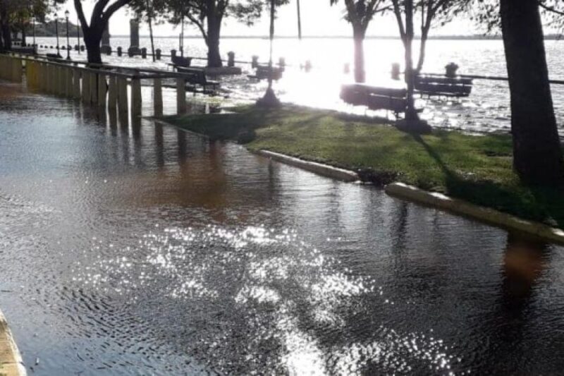 Corrientes | El gobierno provincial declaró la Emergencia Hídrica en todo el territorio provincial 9 ctes4 1 - 8