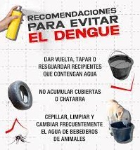 Dengue | Más de 25 mil nuevos casos en la última semana en el NEA, el mayor número desde hace siete años 6 dengue 8 - 5