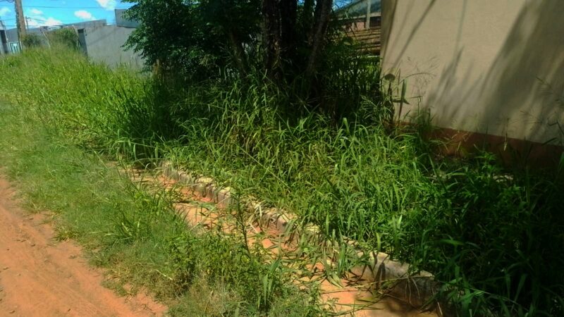 Posadas | “Si entran a Los Lapachitos y a Altos de Bella Vista, van a encontrar a todos con dengue y las autoridades no hacen nada” 5 dengue en Los Lapachitos - 4