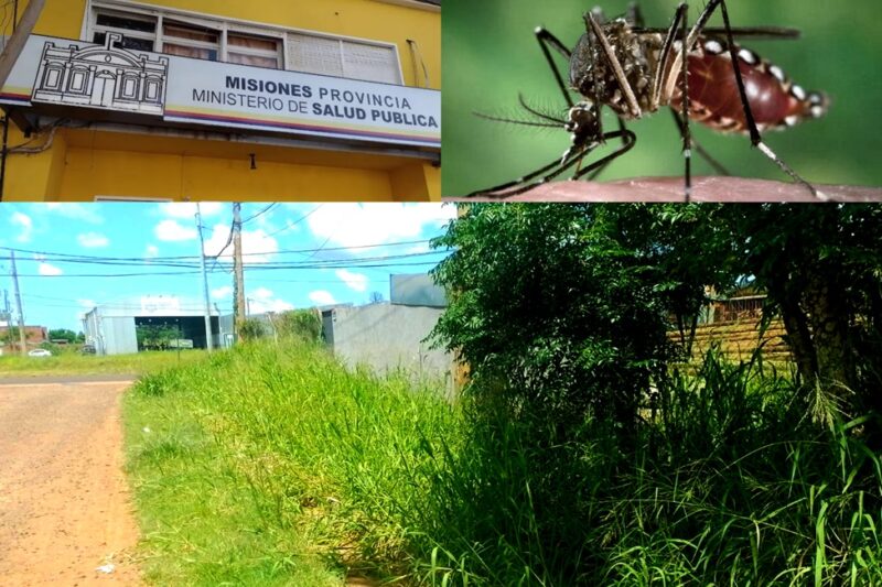 Posadas | “Si entran a Los Lapachitos y a Altos de Bella Vista, van a encontrar a todos con dengue y las autoridades no hacen nada” dengue en posadas barrio los lapachitos - 6