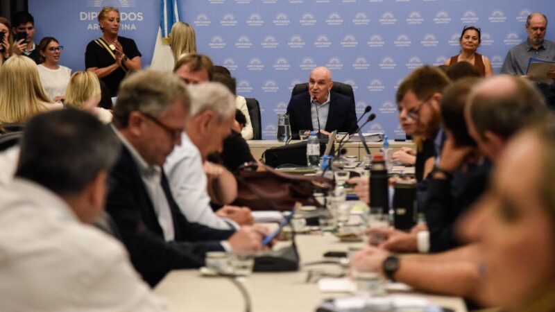Milei celebró que Espert presida la Comisión de Presupuesto y Hacienda: rechazo opositor 3 espert preside comision presupuesto - 2