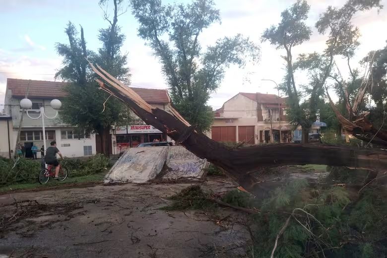 Miramar | Murió un joven de 17 años y hubo destrozos en la ciudad por un temporal repentino 5 image 10 - 4