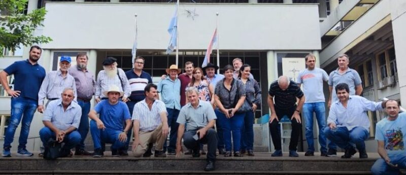 INYM | Jueza de un fuero civil provincial ordenó “la suspensión” de artículos del DNU de Milei sobre el organismo yerbatero, aunque no es su competencia 5 image 3 1 - 4