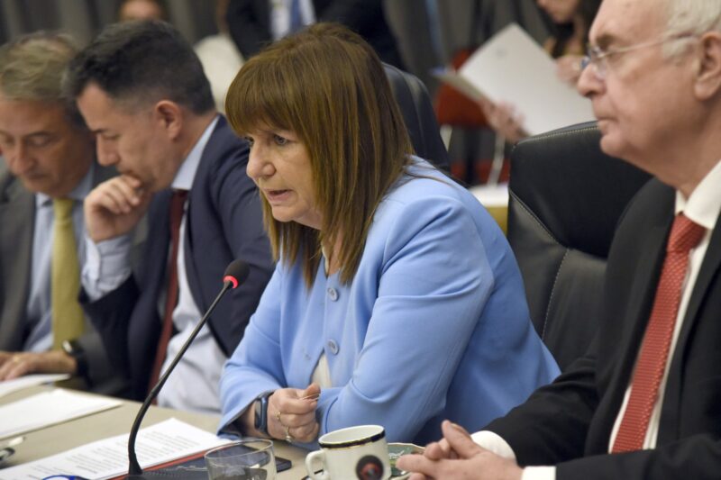 ley omnibus plenario comisiones diputados patricia bullrich - 8