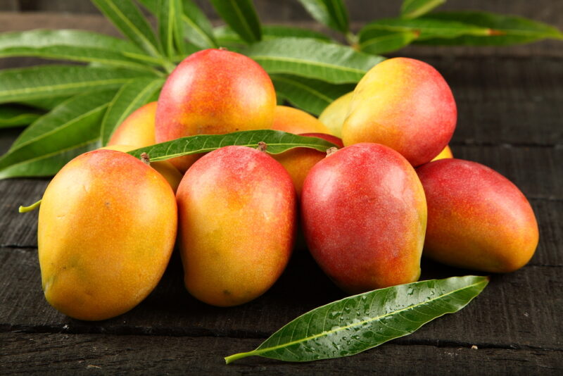 mango - 7
