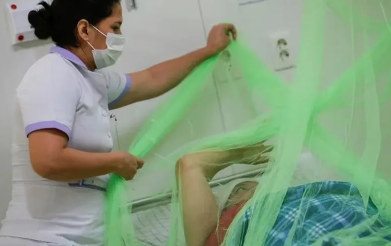 Dengue | Más de 25 mil nuevos casos en la última semana en el NEA, el mayor número desde hace siete años muertes por dengue - 2