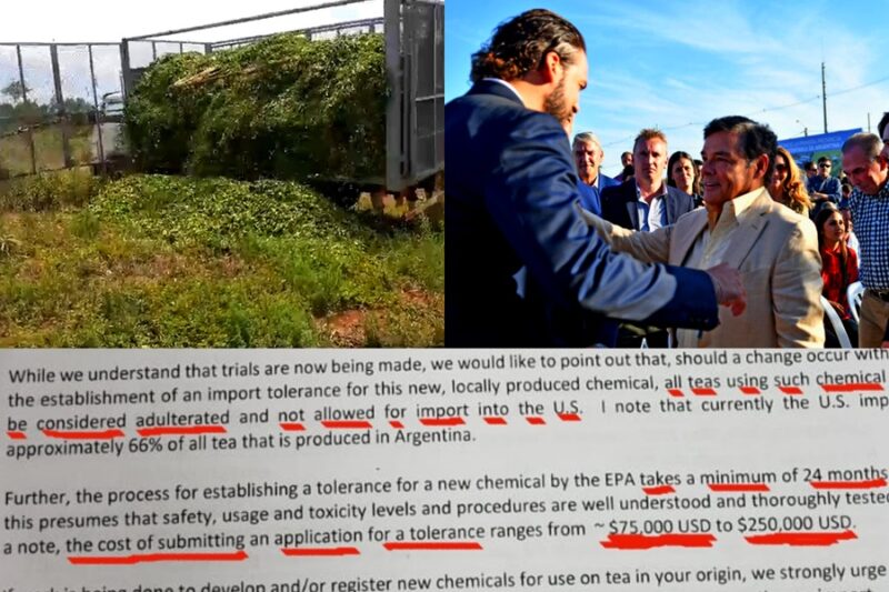 nota de la asociacion del te norteamericana sobre el uso de bioinsumos en el te Rovira y el presidente de Agro Sustentable - 2