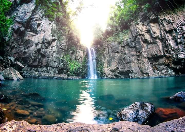 Vacaciones | El Salto Orquídea en Dos de Mayo, un lugar para disfrutar de la naturaleza 3 orquidea - 2
