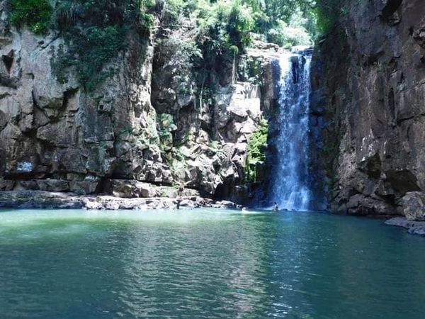 Vacaciones | El Salto Orquídea en Dos de Mayo, un lugar para disfrutar de la naturaleza 5 orquidea2 - 4