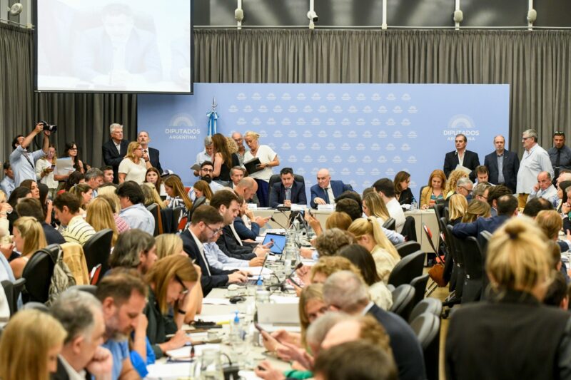 Ley Ómnibus | Los misioneros Arjol y Carlos Fernández apoyaron el dictamen oficialista plenario ley bases dictamen diputados 2 - 9