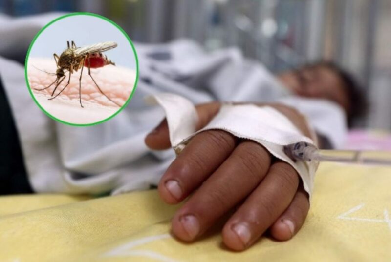Dengue en Misiones | El hospital Favaloro está colapsado por las internaciones y las consultas 4 record historico de muertes por dengue en argentina - 3