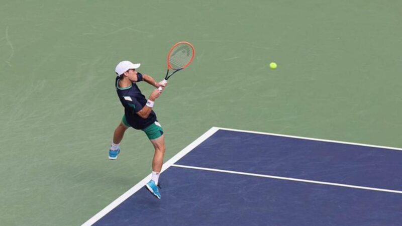 Schwartzman perdió en primera ronda y fue eliminado del abierto de Australia schwartzman - 5