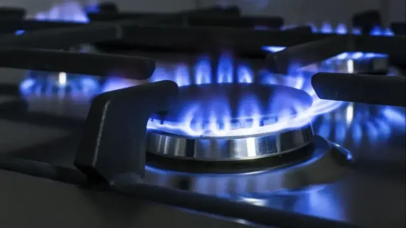 Sube la luz: Cómo quedarán los subsidios luego de eliminarse la tarifa social 7 tarifa del gas - 6