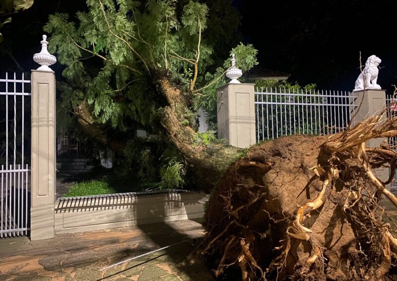 Brasil | Intenso temporal dejó calles anegadas y voladuras de techos en Porto Alegre 5 temporal2 - 4