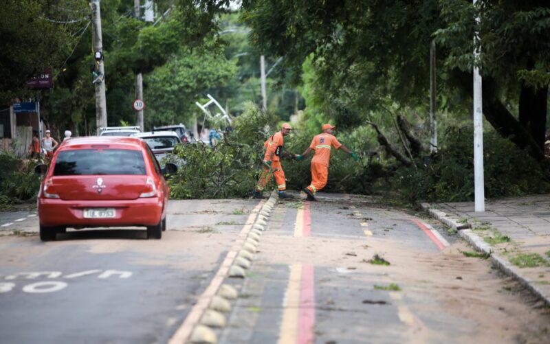 Brasil | Intenso temporal dejó calles anegadas y voladuras de techos en Porto Alegre 9 temporal4 - 8