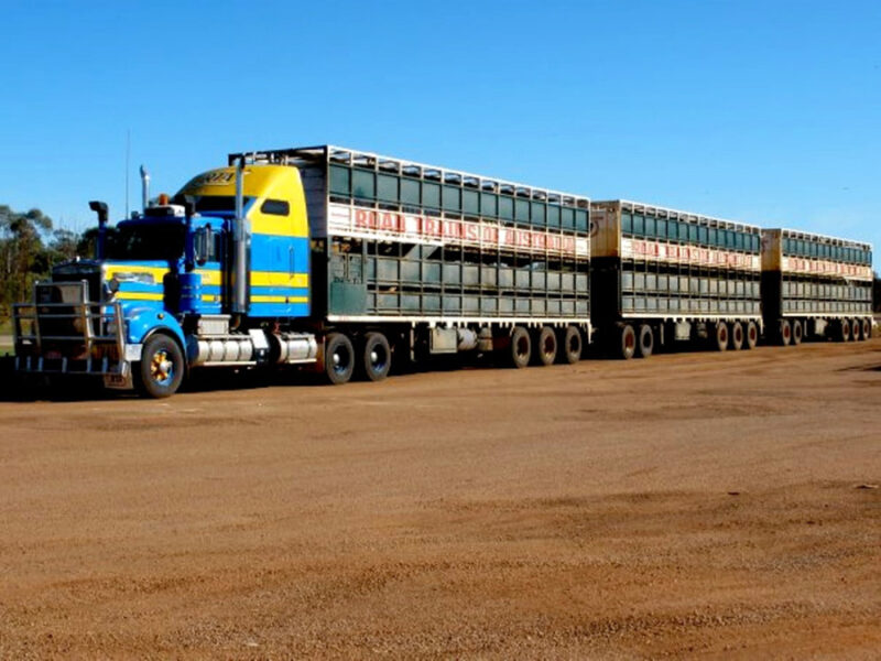 En la primera quincena de enero, los costos del transporte aumentaron 16,4% trenes de carretera 3 35d341e9e8ab1ee65fa0652b924cfca5 - 2