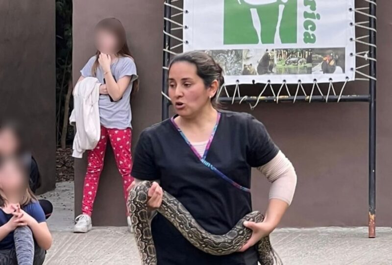 Veterinaria misionera murió por Dengue en la provincia de Corrientes veterinaria de Colonia Guarani fallecida en Corrientes por dengue - 2