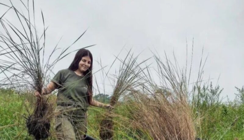 Corrientes | Abren las inscripciones a los voluntarios para la preservación y cuidado del medio ambiente voluntarios - 10