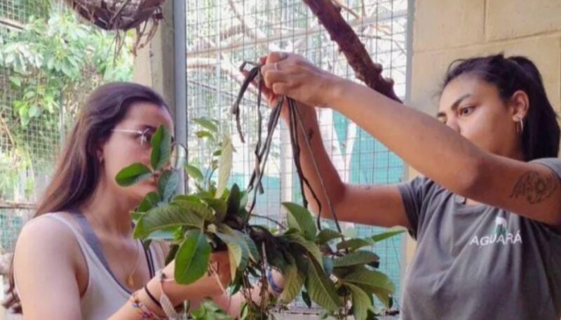 Corrientes | Abren las inscripciones a los voluntarios para la preservación y cuidado del medio ambiente 3 voluntarios2 - 2