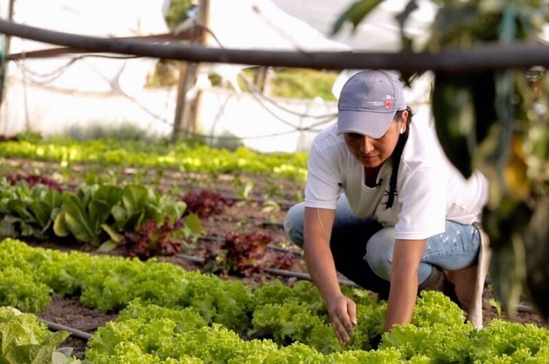 El Día Mundial de la Alimentación 2025 invita a repensar cómo producimos, distribuimos y consumimos nuestros alimentos.