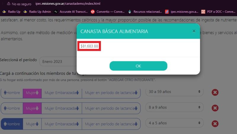 La Canasta de la Indigencia rondaría los $316 mil para una familia tipo en Misiones 9 Captura de pantalla 2024 03 05 Canasta Indigencia Misiones enero 2023 estimador en linea IPEC - 8
