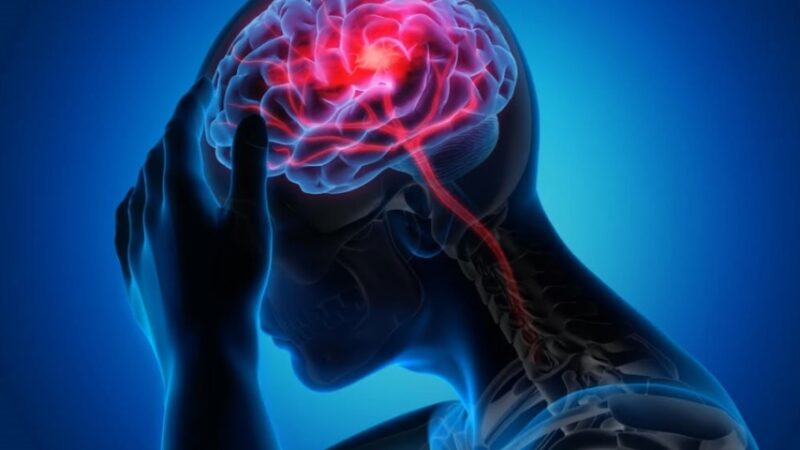Epilepsia - 8